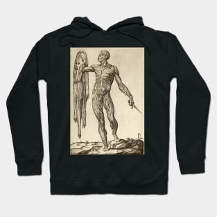 Dissected cadaver with flayed skin (C019/7086) Hoodie